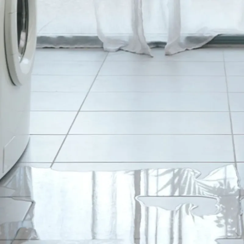 Appliance Leak Cleanup in Munford, AL