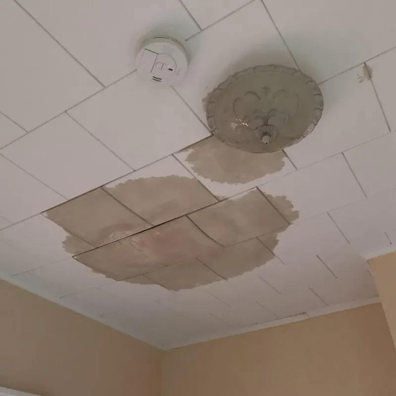 Ceiling Water Damage Repair in Munford, AL