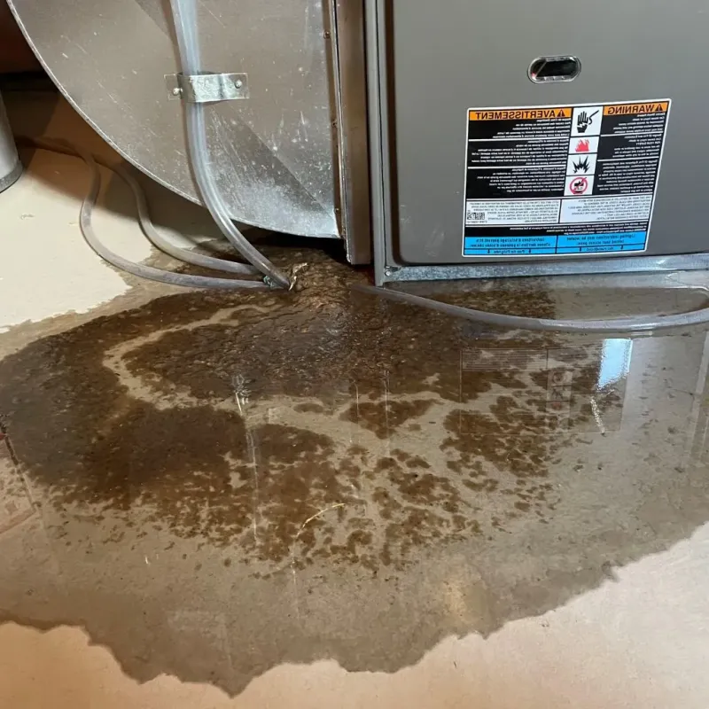 Pipe Burst and Leak Restoration in Munford, AL