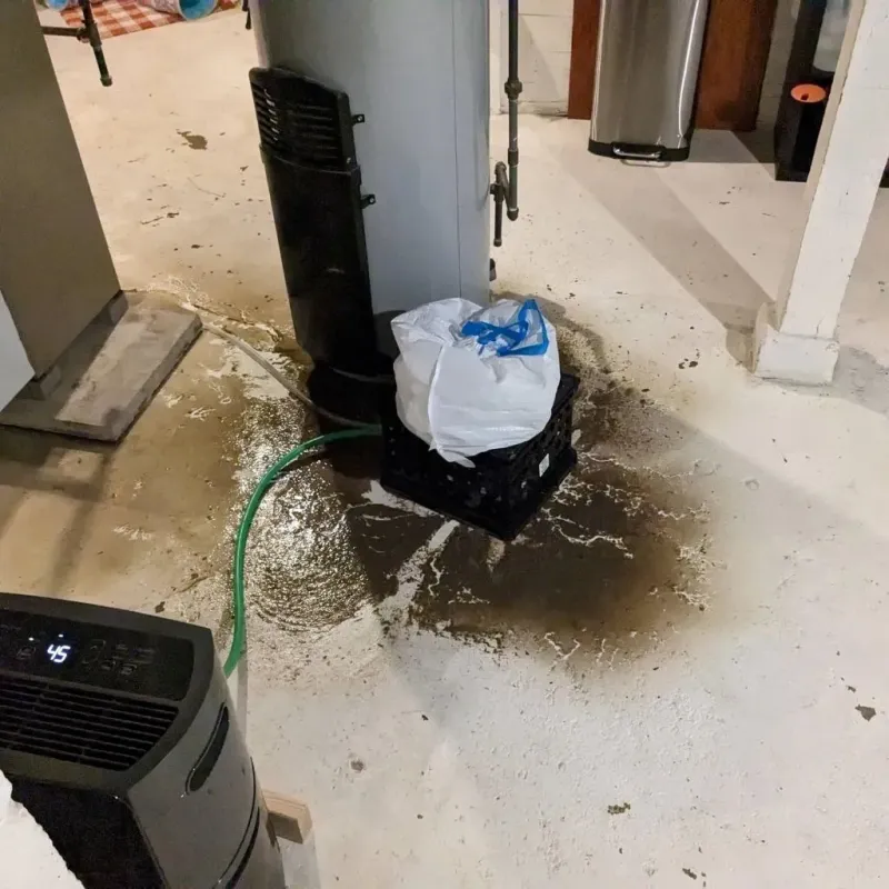 Sewage Backup Cleanup Service in Munford, AL
